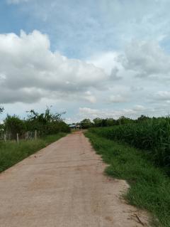 ขายที่ดินอำเภอสูงเนิน​จังหวัด​นครราชสีมา ขนาดที่ดิน 16-3-35 ไร่โฉนด -202509121535301757666130089.jpg