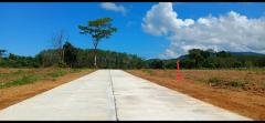 ขายที่ดินเปล่า ทำเลทอง สภาพแวดล้อมดี ใกล้แหล่งชุมชน เดินทางสะดวก อ.ตะกั่วป่า จ.พังงา