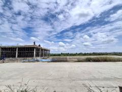 ขายบ้านเดี่ยว 2 หลัง ซอยเฉลิมพระเกียรติ 14 ประเวศ กรุงเทพมหานคร-202509121559501757667590869.jpg