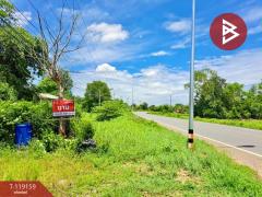 ขายบ้านเดี่ยวพร้อมที่ดิน เนื้อที่ 1 ไร่ 73 ตารางวา อ.เนินขาม ชัยนาท ทำเลดีติดถนน-202509121630571757669457589.jpg