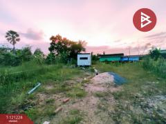 ขายที่ดิน เนื้อที่ 80 ตร.วา บ้านแพ้ว สมุทรสาคร-202509121717581757672278470.jpg