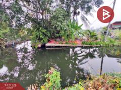 ขายที่ดิน เนื้อที่ 80 ตร.วา บ้านแพ้ว สมุทรสาคร-202509121718001757672280550.jpg