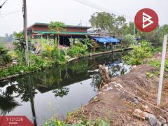 ขายที่ดิน เนื้อที่ 80 ตร.วา บ้านแพ้ว สมุทรสาคร-202509121718011757672281066.jpg