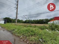 ขายที่ดิน เนื้อที่  11 ไร่ อ.บางปะอิน พระนครศรีอยุธยา ติดถนนโรจนะ-202509130937291757731049011.jpg