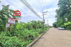 ที่ดินเปล่า หมู่บ้านปาริชาต 345 (โซน B ซอย 15) เนื้อที่ 81 ตร.ว ตำบลบางคูวัด อำเภอเมืองปทุมธานี ปทุมธานี-202509130945081757731508114.jpg