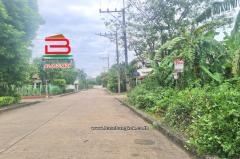 ที่ดินเปล่า หมู่บ้านปาริชาต 345 (โซน B ซอย 15) เนื้อที่ 81 ตร.ว ตำบลบางคูวัด อำเภอเมืองปทุมธานี ปทุมธานี-202509130945091757731509580.jpg
