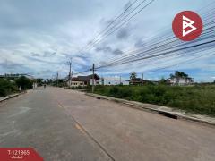 ขายที่ดิน เนื้อที่ 3 ไร่ 19.5 ตร.วา แม่กลอง สมุทรสงคราม-202509131523391757751819763.jpg