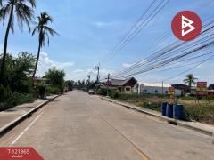 ขายที่ดิน เนื้อที่ 3 ไร่ 19.5 ตร.วา แม่กลอง สมุทรสงคราม-202509131523411757751821483.jpg