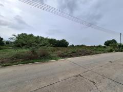 ขายถูกมาก ที่ดิน ริมถนนคลองสี่ตะวันตก 600 ตร.วา ใกล้ถ.คลองหลวงแค่ 2 กม. TV-202509131525381757751938251.jpg