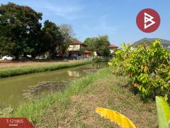 ขายที่ดิน หมู่บ้านลากูน3 เนื้อที่ 1 งาน 37.1 ตร.วา สามโคก ปทุมธานี-202509131558191757753899367.jpg