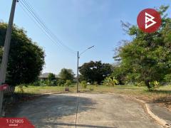 ขายที่ดิน หมู่บ้านลากูน3 เนื้อที่ 1 งาน 37.1 ตร.วา สามโคก ปทุมธานี-202509131558211757753901019.jpg