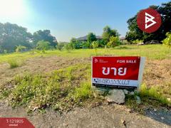 ขายที่ดิน หมู่บ้านลากูน3 เนื้อที่ 1 งาน 37.1 ตร.วา สามโคก ปทุมธานี-202509131558221757753902527.jpg