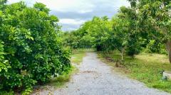 ขายที่ดิน 1 ไร่ พร้อมบ้าน 3 หลัง ใกล้เมืองอู่ทอง สุพรรณบุรี ทำเลดี เหมาะลงทุนหรือพักอาศัย-202509131708011757758081966.jpg