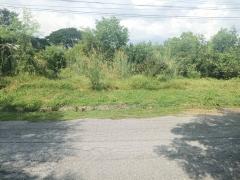 ขายถูก ที่ดิน สนามกอล์ฟไพน์เฮิร์สท 393 ตรว ใกล้ถ.พหลโยธินแค่ 1.9 กม. CC-202509141013321757819612450.jpg