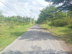 ขายถูก ที่ดิน สนามกอล์ฟไพน์เฮิร์สท 393 ตรว ใกล้ถ.พหลโยธินแค่ 1.9 กม. CC-202509141013331757819613535.jpg