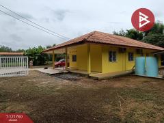 ขายบ้านเดี่ยว เนื้อที่ 3 งาน 59.6 ตารางวา นครไทย พิษณุโลก-202509141022391757820159906.jpg