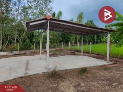 ขายบ้านเดี่ยว เนื้อที่ 3 งาน 59.6 ตารางวา นครไทย พิษณุโลก-202509141022401757820160454.jpg