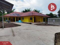 ขายบ้านเดี่ยว เนื้อที่ 3 งาน 59.6 ตารางวา นครไทย พิษณุโลก-202509141022401757820160974.jpg