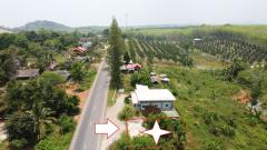 ขายที่ดินเชิงเขา วิวธรรมชาติ บ้านโพธิ์พนา อ.วิภาวดี จ.สุราษฎร์ธานี – 169,000 บาท-202509141041381757821298481.jpg
