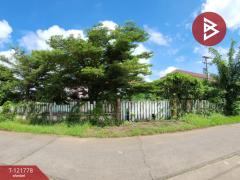 ขายที่ดิน เนื้อที่ 2 งาน 99 ตารางวา ท่าเสา อุตรดิตถ์ ใกล้แยกถนนตัดใหม่-202509141042291757821349050.jpg