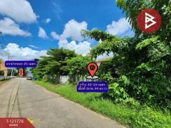 ขายที่ดิน เนื้อที่ 2 งาน 99 ตารางวา ท่าเสา อุตรดิตถ์ ใกล้แยกถนนตัดใหม่-202509141042291757821349590.jpg