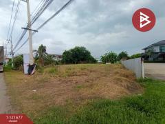 ขาย/เช่า ที่ดิน เนื้อที่ 5 ไร่ ต.นิคมสร้างตนเอง ลพบุรี ทำเลดี ติดถนน-202509141053431757822023435.jpg