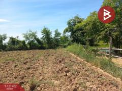 ขายที่ดิน เนื้อที่ 4 ไร่ 10 ตารางวา บำเหน็จณรงค์ ชัยภูมิ ทำเลสวย ใกล้ถนน-202509141111101757823070502.jpg