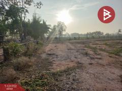 ขายที่ดิน เนื้อที่ 4 ไร่ 10 ตารางวา บำเหน็จณรงค์ ชัยภูมิ ทำเลสวย ใกล้ถนน-202509141111111757823071046.jpg