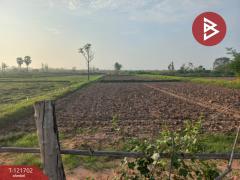 ขายที่ดิน เนื้อที่ 4 ไร่ 10 ตารางวา บำเหน็จณรงค์ ชัยภูมิ ทำเลสวย ใกล้ถนน-202509141111111757823071582.jpg