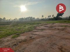 ขายที่ดิน เนื้อที่ 4 ไร่ 10 ตารางวา บำเหน็จณรงค์ ชัยภูมิ ทำเลสวย ใกล้ถนน-202509141111121757823072119.jpg