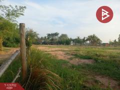 ขายที่ดิน เนื้อที่ 4 ไร่ 10 ตารางวา บำเหน็จณรงค์ ชัยภูมิ ทำเลสวย ใกล้ถนน-202509141111121757823072655.jpg