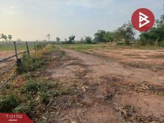 ขายที่ดิน เนื้อที่ 4 ไร่ 10 ตารางวา บำเหน็จณรงค์ ชัยภูมิ ทำเลสวย ใกล้ถนน-202509141111131757823073493.jpg