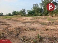 ขายที่ดิน เนื้อที่ 4 ไร่ 10 ตารางวา บำเหน็จณรงค์ ชัยภูมิ ทำเลสวย ใกล้ถนน-202509141111141757823074042.jpg