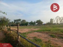 ขายที่ดิน เนื้อที่ 4 ไร่ 10 ตารางวา บำเหน็จณรงค์ ชัยภูมิ ทำเลสวย ใกล้ถนน-202509141111141757823074582.jpg