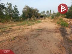 ขายที่ดิน เนื้อที่ 4 ไร่ 10 ตารางวา บำเหน็จณรงค์ ชัยภูมิ ทำเลสวย ใกล้ถนน-202509141111151757823075116.jpg