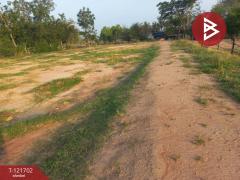 ขายที่ดิน เนื้อที่ 4 ไร่ 10 ตารางวา บำเหน็จณรงค์ ชัยภูมิ ทำเลสวย ใกล้ถนน-202509141111151757823075654.jpg