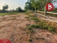 ขายที่ดิน เนื้อที่ 4 ไร่ 10 ตารางวา บำเหน็จณรงค์ ชัยภูมิ ทำเลสวย ใกล้ถนน-202509141111161757823076194.jpg