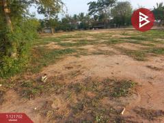 ขายที่ดิน เนื้อที่ 4 ไร่ 10 ตารางวา บำเหน็จณรงค์ ชัยภูมิ ทำเลสวย ใกล้ถนน-202509141111171757823077285.jpg