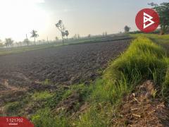 ขายที่ดิน เนื้อที่ 4 ไร่ 10 ตารางวา บำเหน็จณรงค์ ชัยภูมิ ทำเลสวย ใกล้ถนน-202509141111171757823077831.jpg