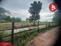 ขายที่ดิน เนื้อที่ 4 ไร่ 10 ตารางวา บำเหน็จณรงค์ ชัยภูมิ ทำเลสวย ใกล้ถนน-202509141111181757823078538.jpg