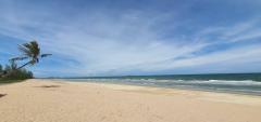 ขายที่ดิน 274 ไร่  ติดหาดกว้าง 800เมตร ติดทะเล จ.ประจวบ หาดคูณเจริญ ห้วยยาง-202509141126241757823984200.jpg