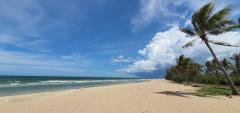 ขายที่ดิน 274 ไร่  ติดหาดกว้าง 800เมตร ติดทะเล จ.ประจวบ หาดคูณเจริญ ห้วยยาง-202509141126241757823984700.jpg