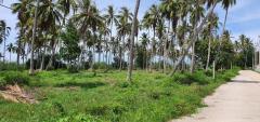 ขายที่ดิน 274 ไร่  ติดหาดกว้าง 800เมตร ติดทะเล จ.ประจวบ หาดคูณเจริญ ห้วยยาง-202509141126261757823986165.jpg