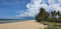 ขายที่ดิน 274 ไร่  ติดหาดกว้าง 800เมตร ติดทะเล จ.ประจวบ หาดคูณเจริญ ห้วยยาง-202509141126271757823987186.jpg