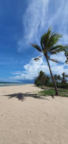 ขายที่ดิน 274 ไร่  ติดหาดกว้าง 800เมตร ติดทะเล จ.ประจวบ หาดคูณเจริญ ห้วยยาง-202509141126271757823987741.jpg