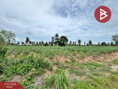 ขายที่ดิน-เนื้อที่-7-ไร่-6.5-ตร.วา-บางละ