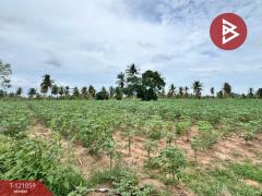 ขายที่ดิน เนื้อที่ 7 ไร่ 6.5 ตร.วา บางละมุง ชลบุรี-202509141201171757826077658.jpg