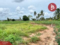 ขายที่ดิน เนื้อที่ 7 ไร่ 6.5 ตร.วา บางละมุง ชลบุรี-202509141201191757826079106.jpg