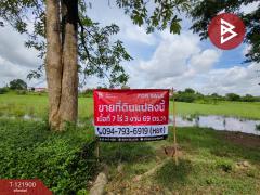 ขายที่ดิน เนื้อที่ 7 ไร่ 3 งาน 69 ตร.วา บ้านโป่ง ราชบุรี-202509141230581757827858747.jpg