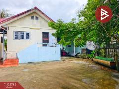 ขายบ้านเดี่ยว เนื้อ 68.8 ตารางวา ต.บางยาง สมุทรสาคร บรรยากาศดี พื้นที่กว้าง พร้อมอยู่-202509141244161757828656101.jpg